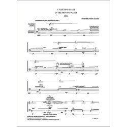 A fleeting image in the moving water : per violoncello (2021)
