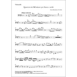 Quartetto n. 10 in fa# minore : in fa# minore per flauto e archi