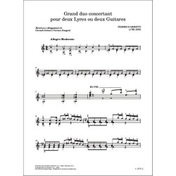 Gran duo concertant : pour deux lyres ou deux guitares