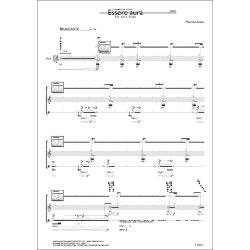 Essere aura : for solo flute