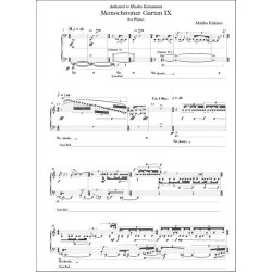 Monochromer Garten IX : per pianoforte