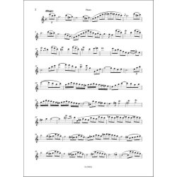 Quartetto n. 7 in do maggiore : in do maggiore per flauto e archi