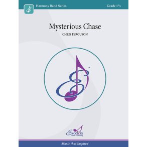 Mysterious Chase