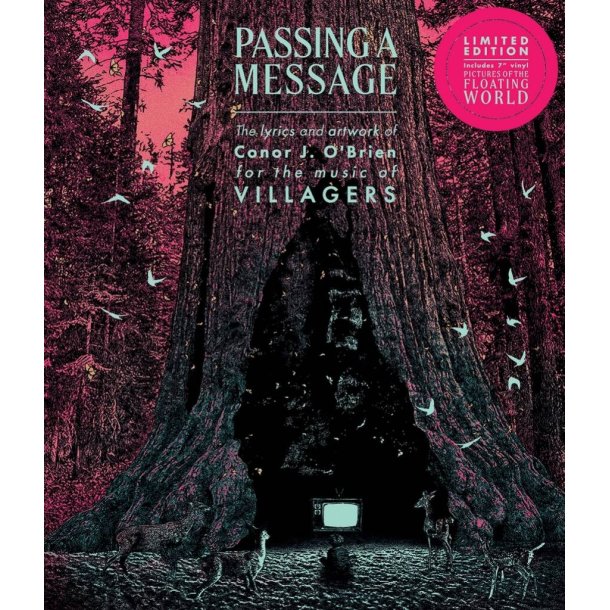 Passing a Message: Deluxe Vinyl Edition (Limited)