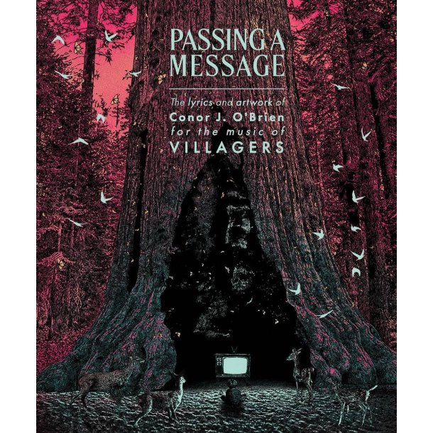 Passing a Message : The lyrics and artwork of Conor J. O'Brien, for the music of Villagers