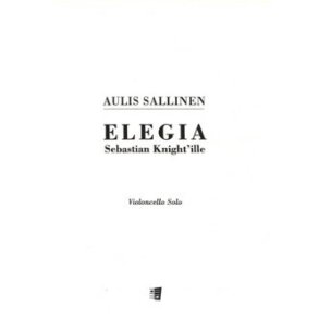 Elegie an Sebastian Knight