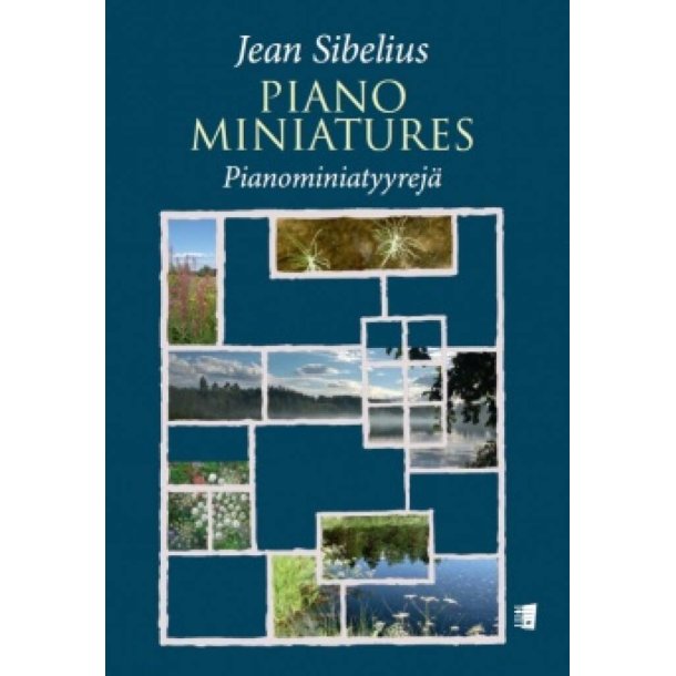 Piano Miniatures : Pianominiatyyrej&auml;