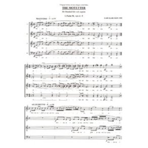Tre Motetter : Three Motets