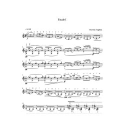 Concert Etudes for guitar