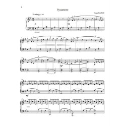 My Forest Notebook : 15 peaceful piano solos