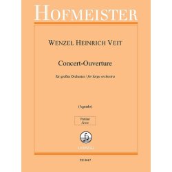 Konzert-Ouverture f&uuml;r gro&szlig;es Orchester