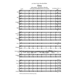 Alma Ballata sinfonica alla memoria di Alma Ros&eacute; : e delle ragazze della M&auml;dchenorchester von Auschwitz