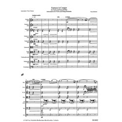Fantasie f&uuml;r Violine und Klavier D934 : Transkription f&uuml;r Violine und Streichorchester