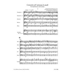 Concerto all'unisono opus 2 Nr. 8 h-moll