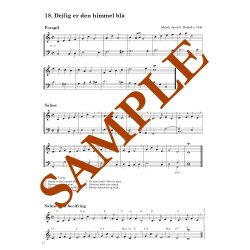 Spil salmer - Koralbog for begyndere 