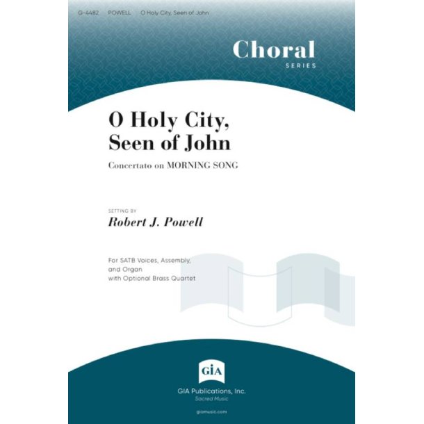 O Holy City, Seen of John