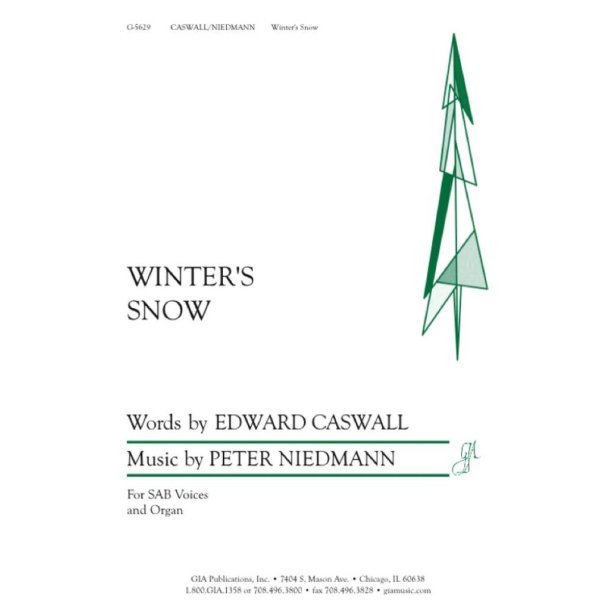 Winter's Snow