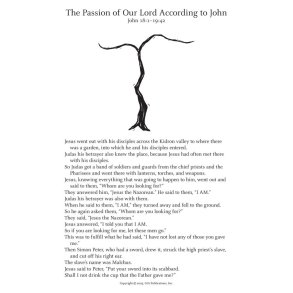 That You May Have Life: Passion acc. to John NAB