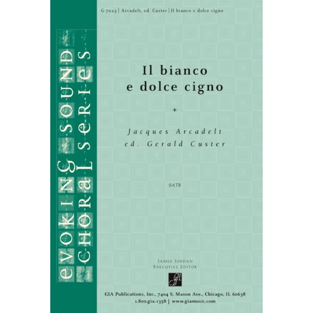 Il bianco e dolce cigno