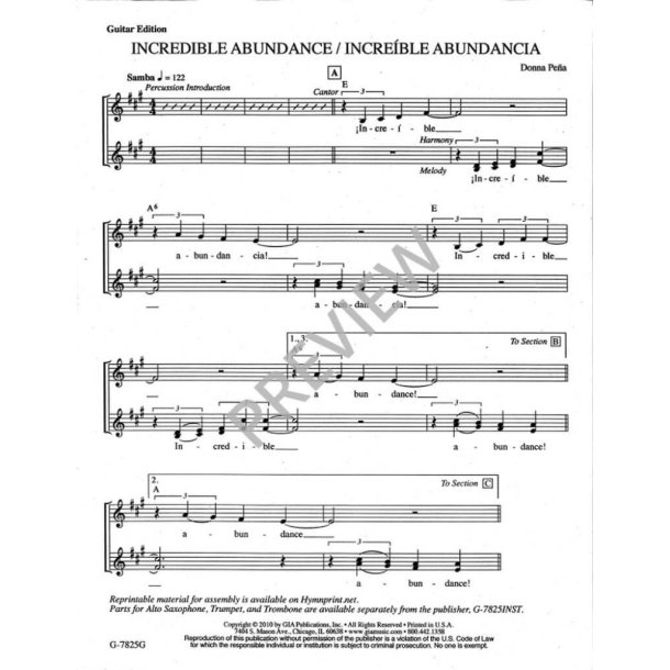 Incredible Abundance : Guitar