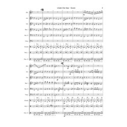 Under the Sea : The Little Mermaid