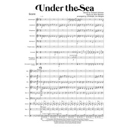 Under the Sea : The Little Mermaid