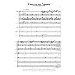 Pirates of the Caribbean : The Curse of the Black Pearl