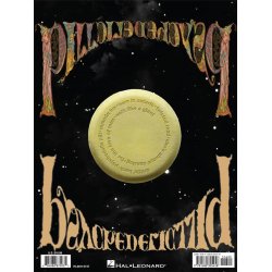 Neil Young - Psychedelic