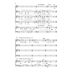 The Wayfarer : (Love Entered in My Heart One Day)