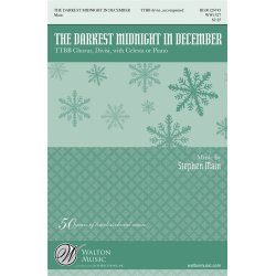 The Darkest Midnight in December