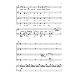 A Summer Night, and You, and Paradise