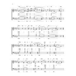 Salzburg Missa Brevis