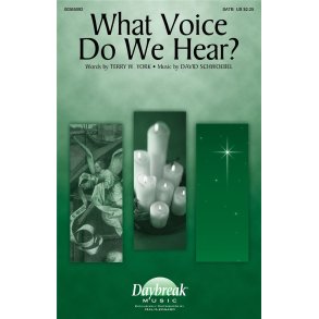 What Voice Do We Hear?
