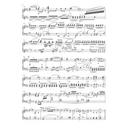 Die Sch&ouml;pfung/The Creation : SAM-Klang