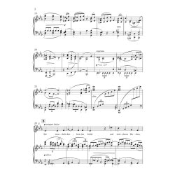 Schicksalslied : SAM-Klang