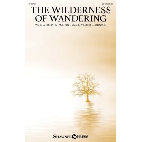 The Wilderness of Wandering