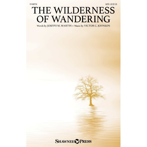 The Wilderness of Wandering