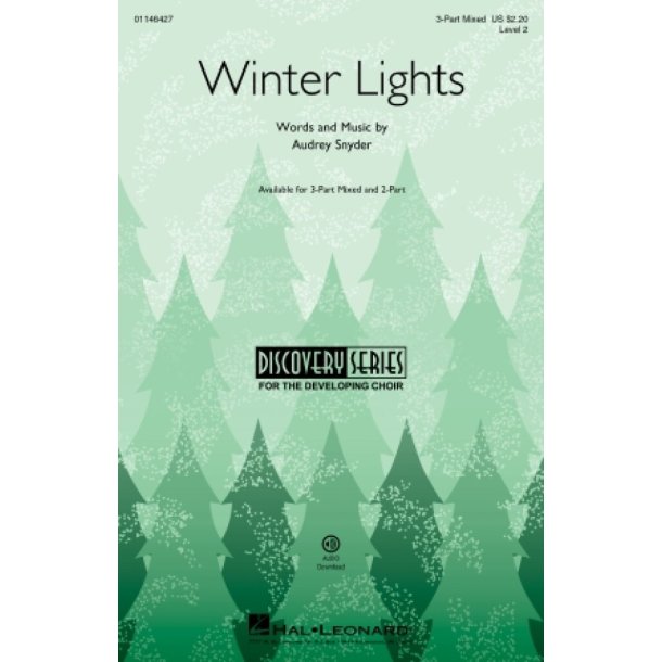 Winter Lights : Discovery Level 2