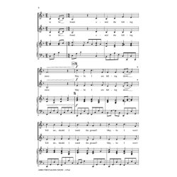 Amid the Falling Snow : Discovery Level 2