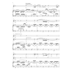 Krnungsmesse/Coronation Mass : SAM-Klang