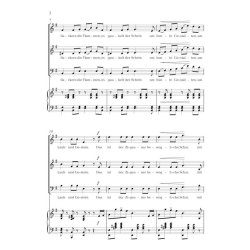 Zigeunerleben : SAM-Klang