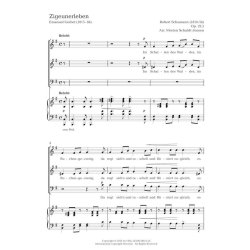 Zigeunerleben : SAM-Klang