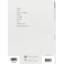 Yann Tiersen - Rathlin from a Distance