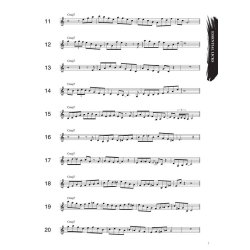 1001 Jazz Licks: A Complete Jazz Vocabulary For The Improvising Musician