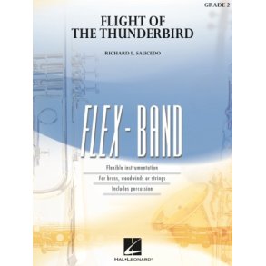 Flight of the Thunderbird