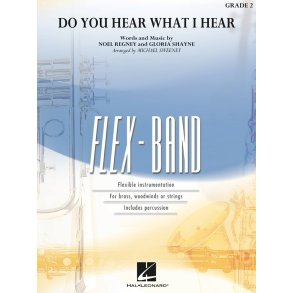 Do You Hear What I Hear