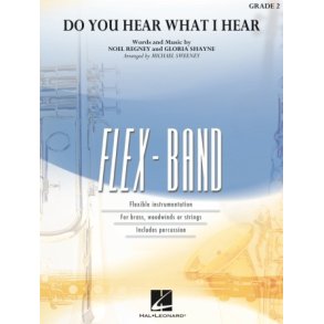 Do You Hear What I Hear