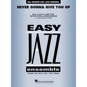 Never Gonna Give You Up