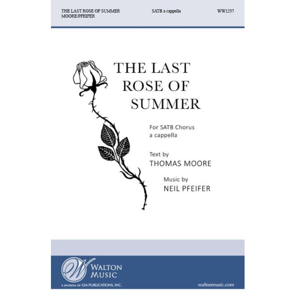 The last rose of summer