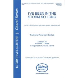 I've Been in the Storm So Long